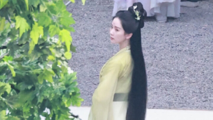 Fox Spirit Matchmaker Bamboo Industry Series's first cast is officially announced! ! I'm so satisfie