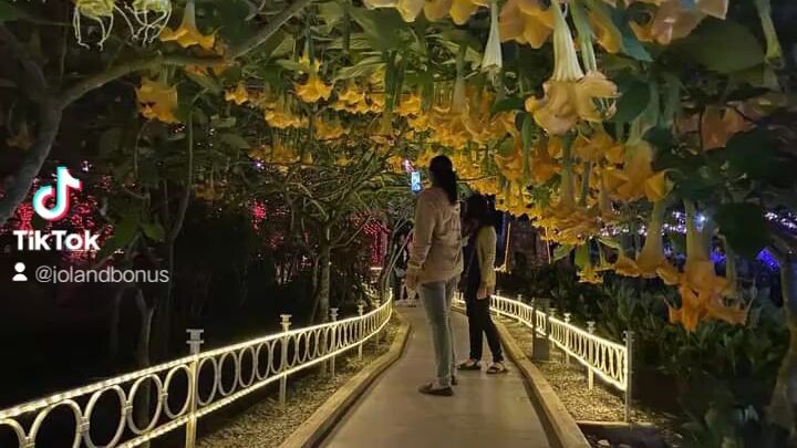 Baguio city botanical gardens