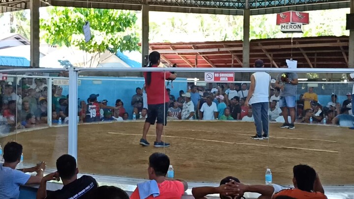 naunahan pero kanya ang panalo 4 stag derby