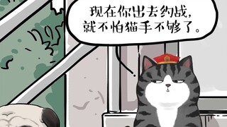 借了个几十只猫？？？【吾皇猫】