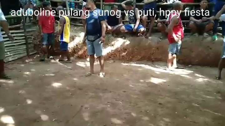 hppy fiesta,pulang sunog vs puti