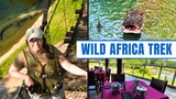 Our Favorite Disney World Tour! Animal Kingdom Wild Africa Trek