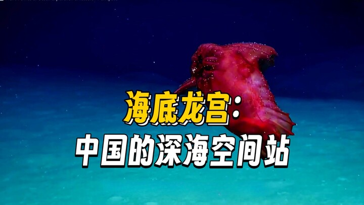 Can it be hidden any longer? What exactly did China encounter at 11,000 meters beneath the sea, to t