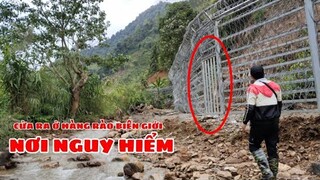 Việt Nam Trồng Cây gai dọc Biên Giới - Trung Quốc xây bức tường dày đặc