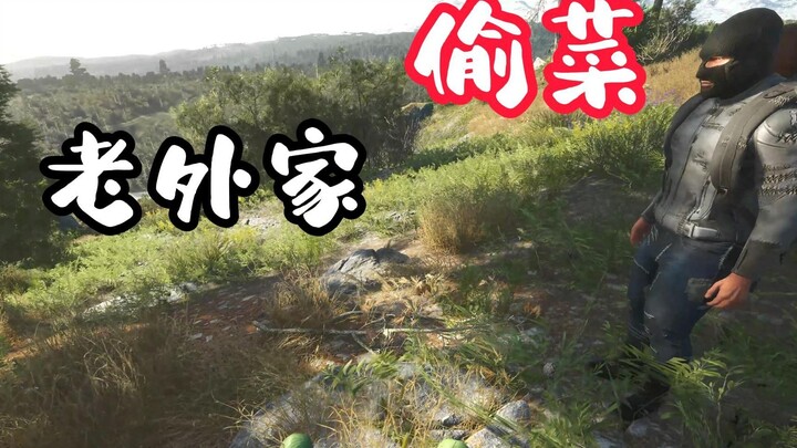 Ou Da | Scum: Two “Old Sixes” Played All Day and Only Stole a Few Crops in the End~