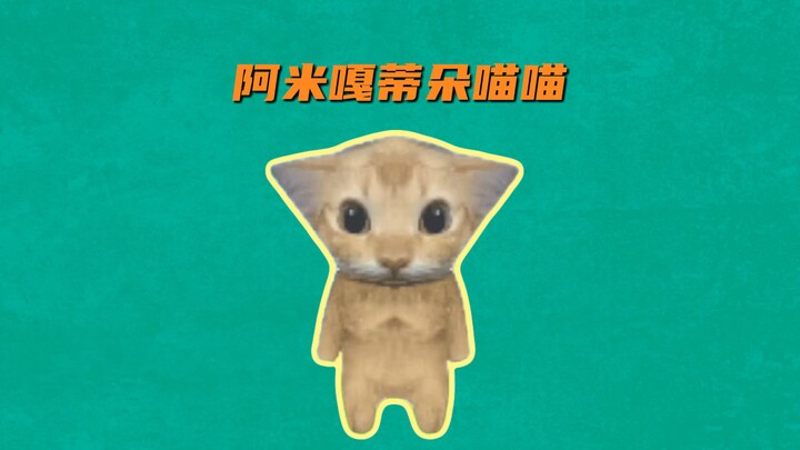 What’s the deal with Amigatito Meow Meow, which has suddenly become a viral sensation lately?