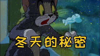 这才是《冬天的秘密》原版MV