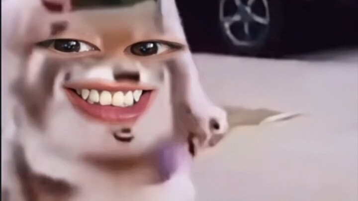 “Gila banget, nonton lagi deh” «66»