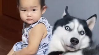 事实证明，养孩子对狗真的不好