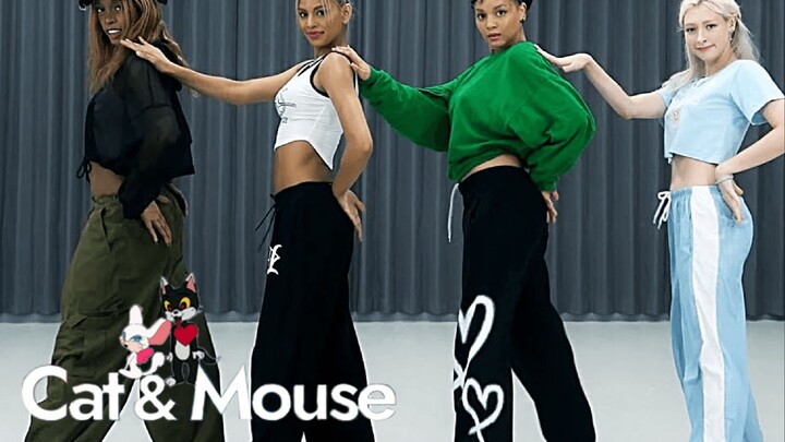 [BLACKSWAN] نسخة غرفة التدريب من "القط والفأر"