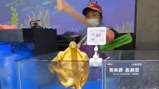 好听吗？好听就是好头