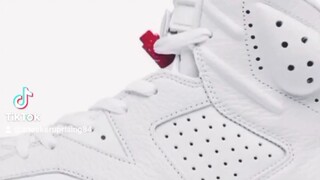 Air Jordan 6 "Red Oreo"