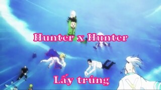 Hunter x Hunter 6 - Lấy trứng