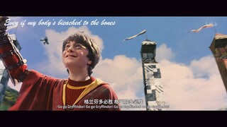 【HP群像】”我们振臂高呼爱的伟大，共赴一场必死的盛宴“