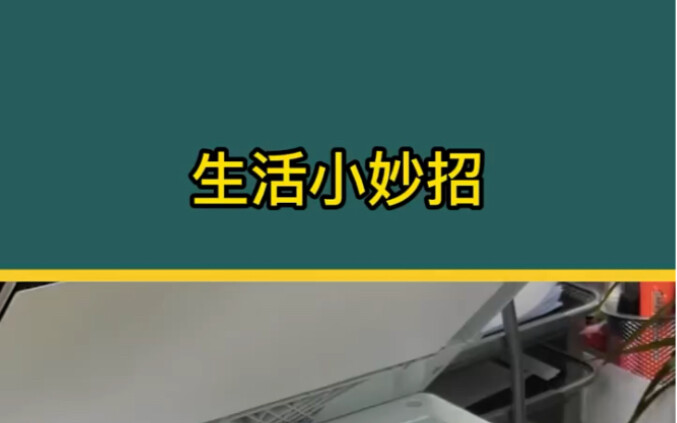 Life hacks I only learned after living for five hundred years—trust me, you'll regret it for life if