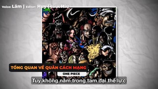 ONE PIECE _ QUÂN CÁCH MẠNG - THẾ LỰC DUY NHẤT CHỐNG LẠI CHÍNH PHỦ THẾ GIỚI