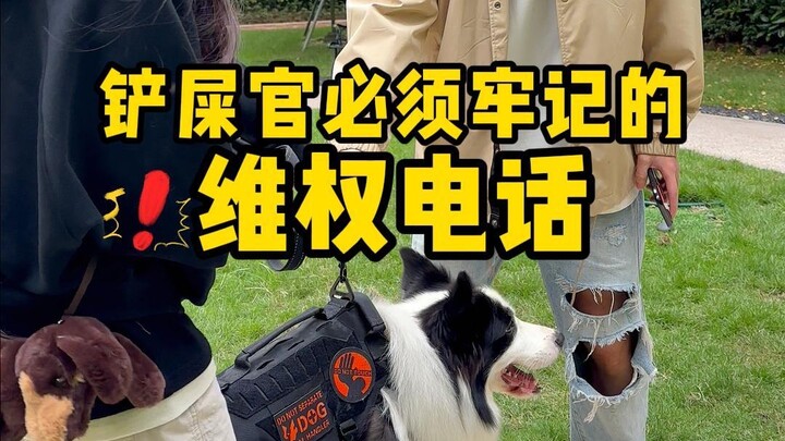 The rights protection phone number that pet owners must remember.