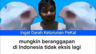 Ingat Darah Keturunan Pekai Jpop AI