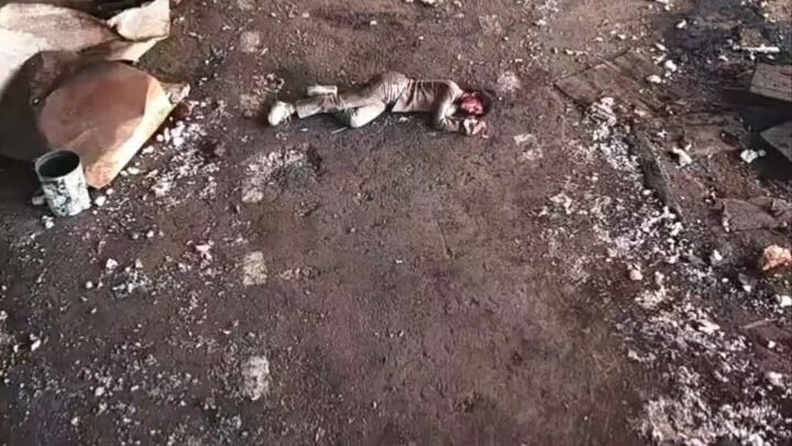 นกอพยพแวะพักในฤดูแห่งการโกหก《候鸟停在谎言季》