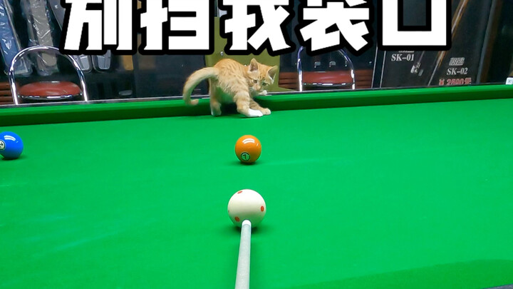 你别挡我啊！