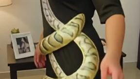 snake dress