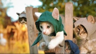 Bom tấn: Cat's Creed