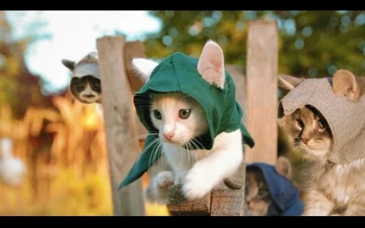 Blockbuster: Cat's Creed