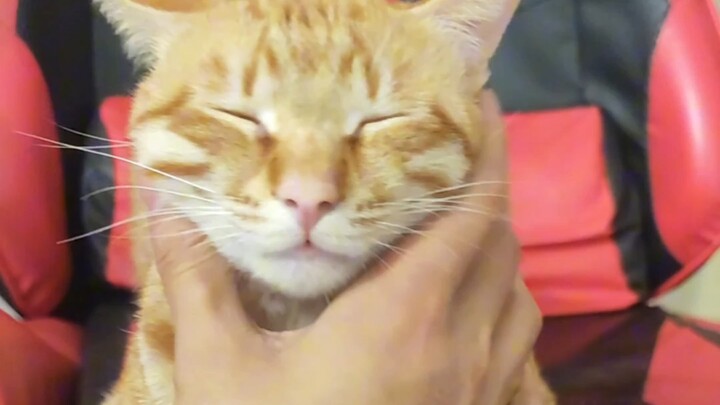 Is there really no going back?