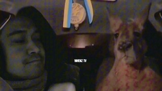 pulutan..!!😁😅🤣😂✌️✌️ #whenztv #virals #everyone #followers #highlights #fy #foryoupagе