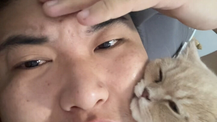 دعونا نتحدث عن تبني قطط الشوارع (عادةً ما تفتقر مقاطع الفيديو من هذا النوع إلى التفاعل)