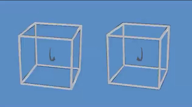 Two stationary cubes, through clever use of light and shadow illusions and subtle visual cues, creat
