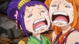 [Pirates' Nonsense] There are only two kinds of people in the Straw Hat Pirates, one is "abnormal pe