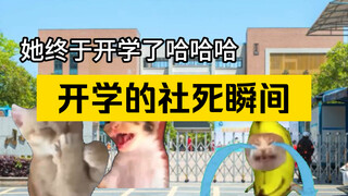 开学了 天塌了