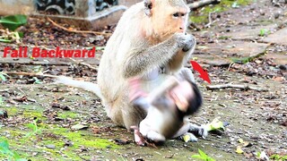 Oh My Goodness! Tiny Baby Mila Falling Down From Her Mother Malika's Legs