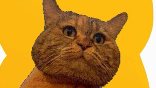 Ayo! Gunakan stiker Gwangdang!