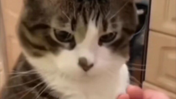 “Pushing Each Other’s Limits”