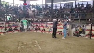 1st fight win
