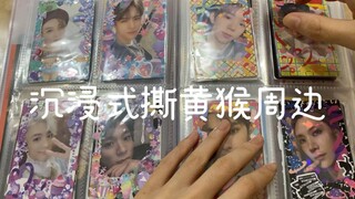 沉 浸 式 脱 粉