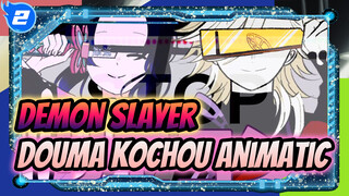 Douma And Kochou Shinobu's Remote Control | Demon Slayer Animatic_2