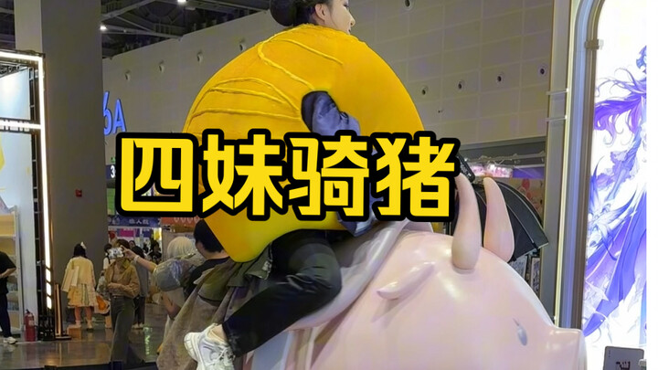 Simaiku menunggang babi dengan santai dan mudah