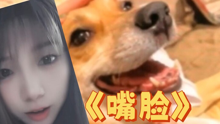 【เหยียนหนิง cccccc】กระเป๋าหลัก: เฟ่ยเค่อเห็นใบหน้าอันน่ารังเกียจของจ้าวชวง (มีม)