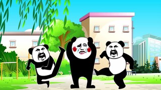 Chợt gió xuân về trong đêm, cúc sầu của hiệu trưởng nở rộ