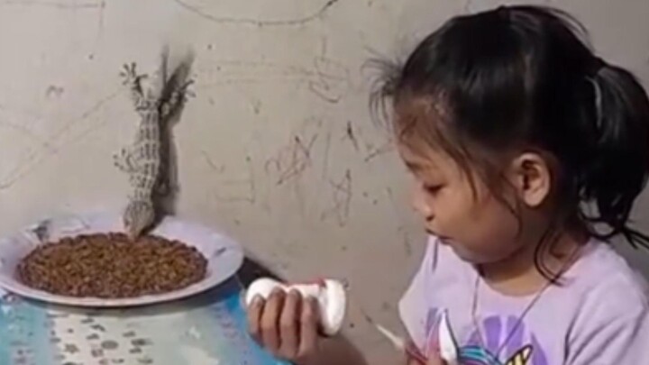 ทำได้ยังไง? เด็กหญิงเลี้ยงจิ้งจกป่าตัวใหญ่ให้กลายเป็นสัตว์เลี้ยง