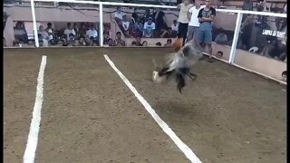 Mistiso line