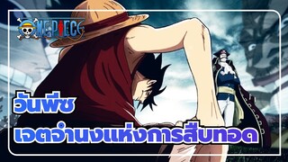 [วันพีซ] เจตจำนงแห่งการสืบทอด