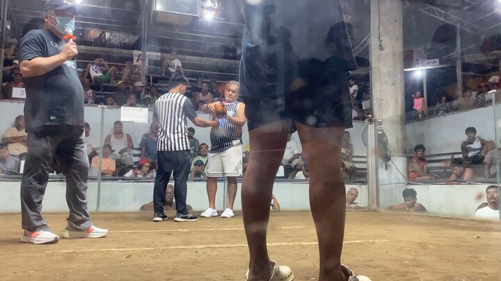 Early Bird 5stag Derby Champion Last fight Kelso/Roundhead