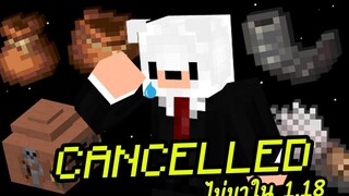 สิ่งที่ถูกตัดออกไปใน Minecraft 118