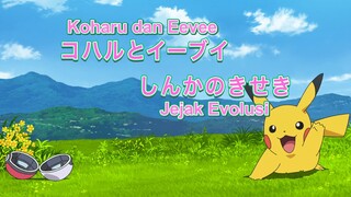 Pokemon 2019 119 Subtitle Indonesia