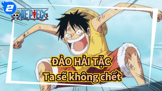 ĐẢO HẢI TẶC|[MAD] Ace: Xin lỗi Luffy, Ta đã nói ta sẽ không chết_2