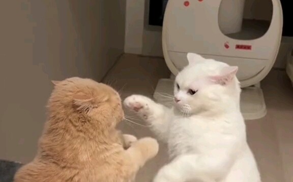 สถานการณ์เกือบจะหลุดจากการควบคุม